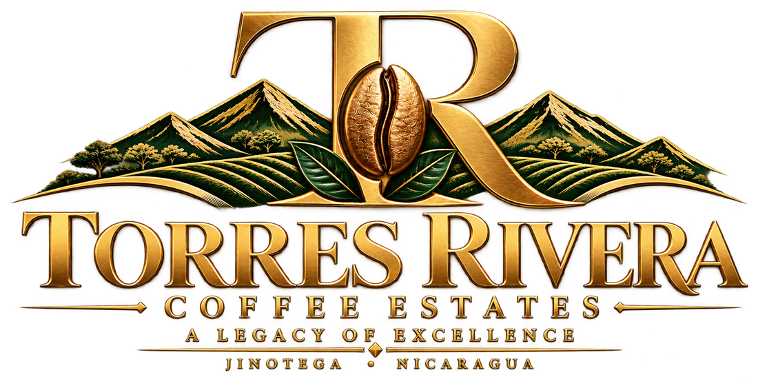 Torres Rivera Coffee Estates, A Legacy of Excellence, Jinotega Nicaragua